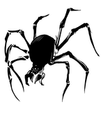 クモに捕まったCCK