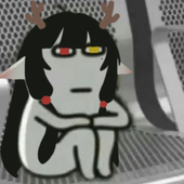 賀卿安Hokki