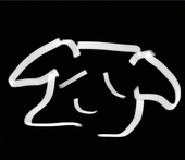 にょき