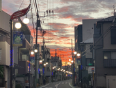たましめじ