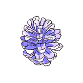 1circle_zjla