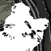 鷹
