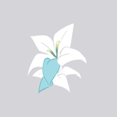 季知