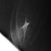 Empity_