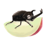 ひぐらし