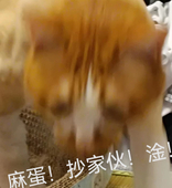 毛猴芒果子