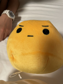けんぼう