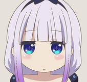 hokanohito