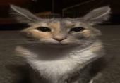 二ヴィ