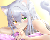 ひだまりのねこ