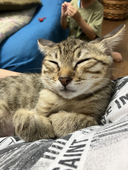 酒本ゆき