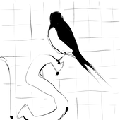 鳥