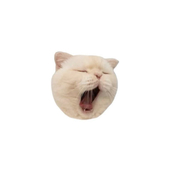 ねこ