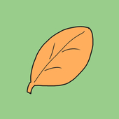 叶さん🍃