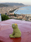 TiredCoqui