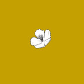 好きなだけ