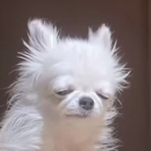 무지가독 mujigadok