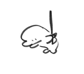 猫禰