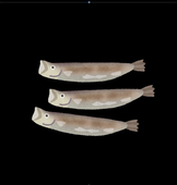 もち