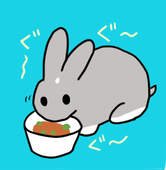 のなか