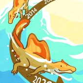 世界最鸽的鸽子