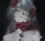 Lycoris