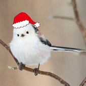 yue