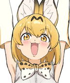 がんじん