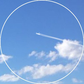 一白