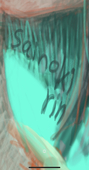 さいのきりん