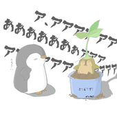 ペンペンちゃん