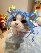 mokeji