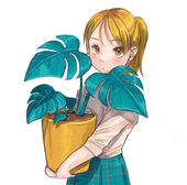 洞井巡