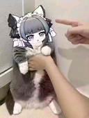 Yoyo_にせんにじゅうなな