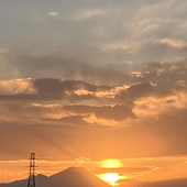 笹の心
