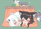しらこん