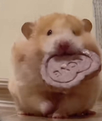 じず
