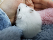 悠