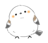 Pちゃん