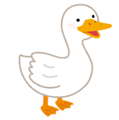 アヒル