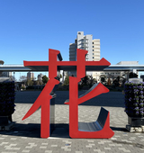 みんと