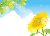 夏空かや