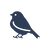 夜鳥