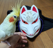 某面人