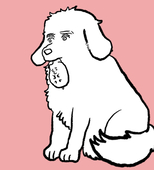 やむ蔵