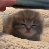 重解负极