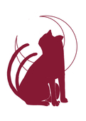 黒猫龍茶