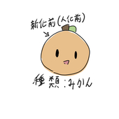 苦夜霧 mikaki 🍊⚔