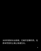 大礼三十