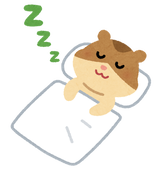 ふんわりふとん